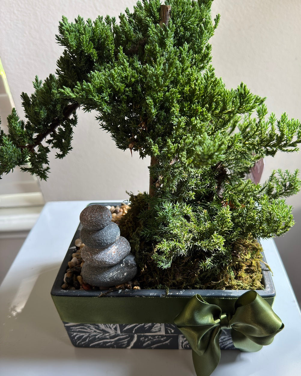 Bonsai in Frisco Texas