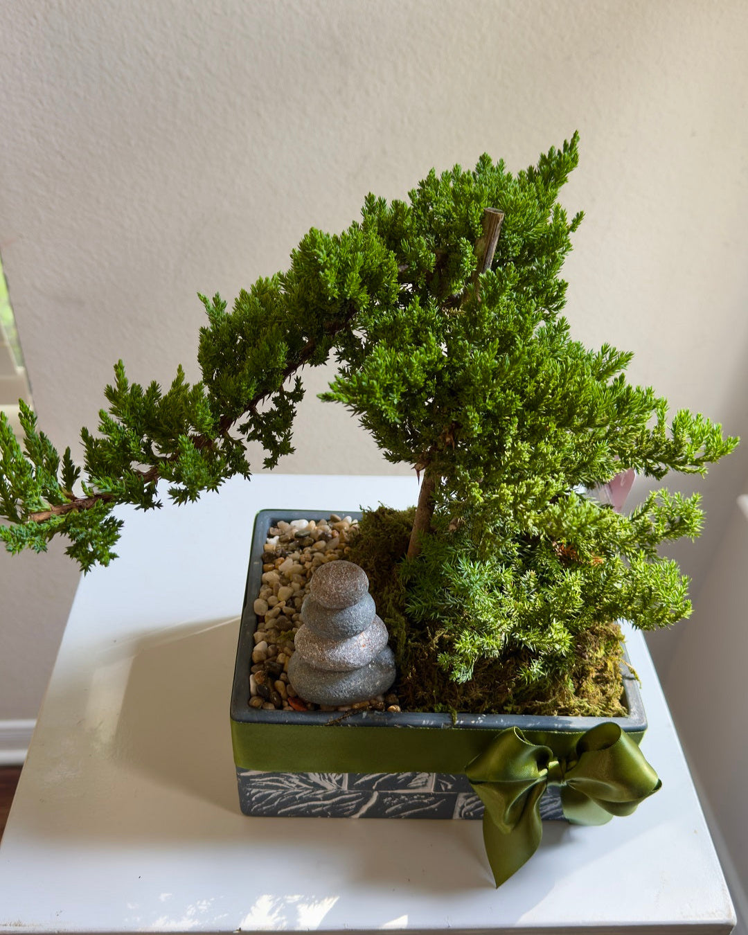 Bonsai in Frisco Texas