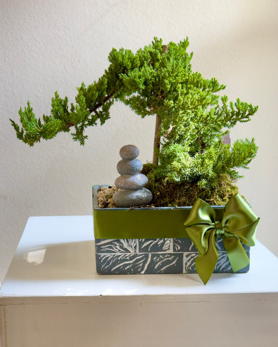 Bonsai in frisco Texas