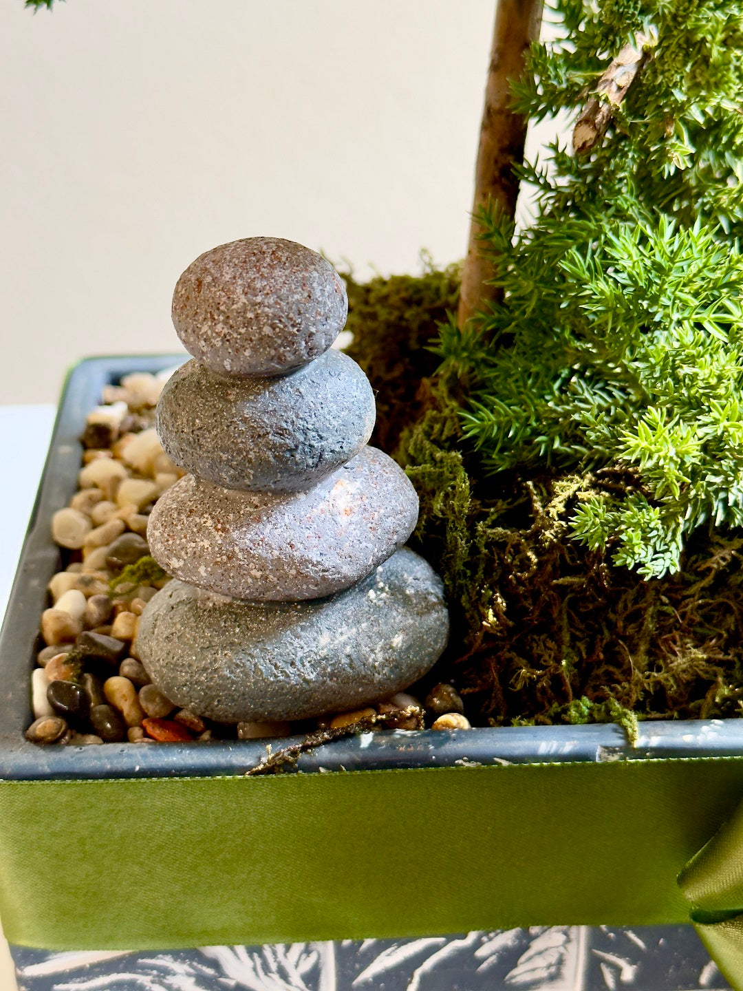 Bonsai in Frisco Texas