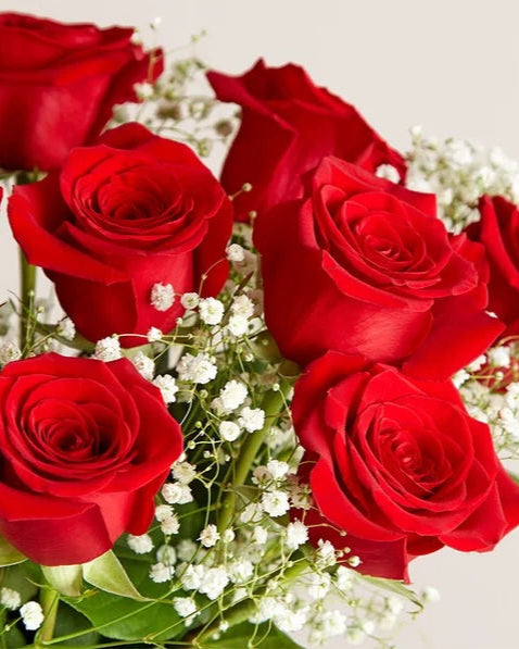 Ruby Delight Premium Red