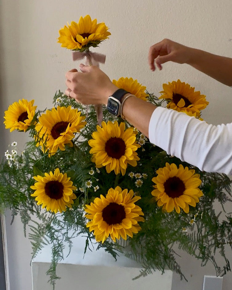 Sunflowers in Frisco Tx