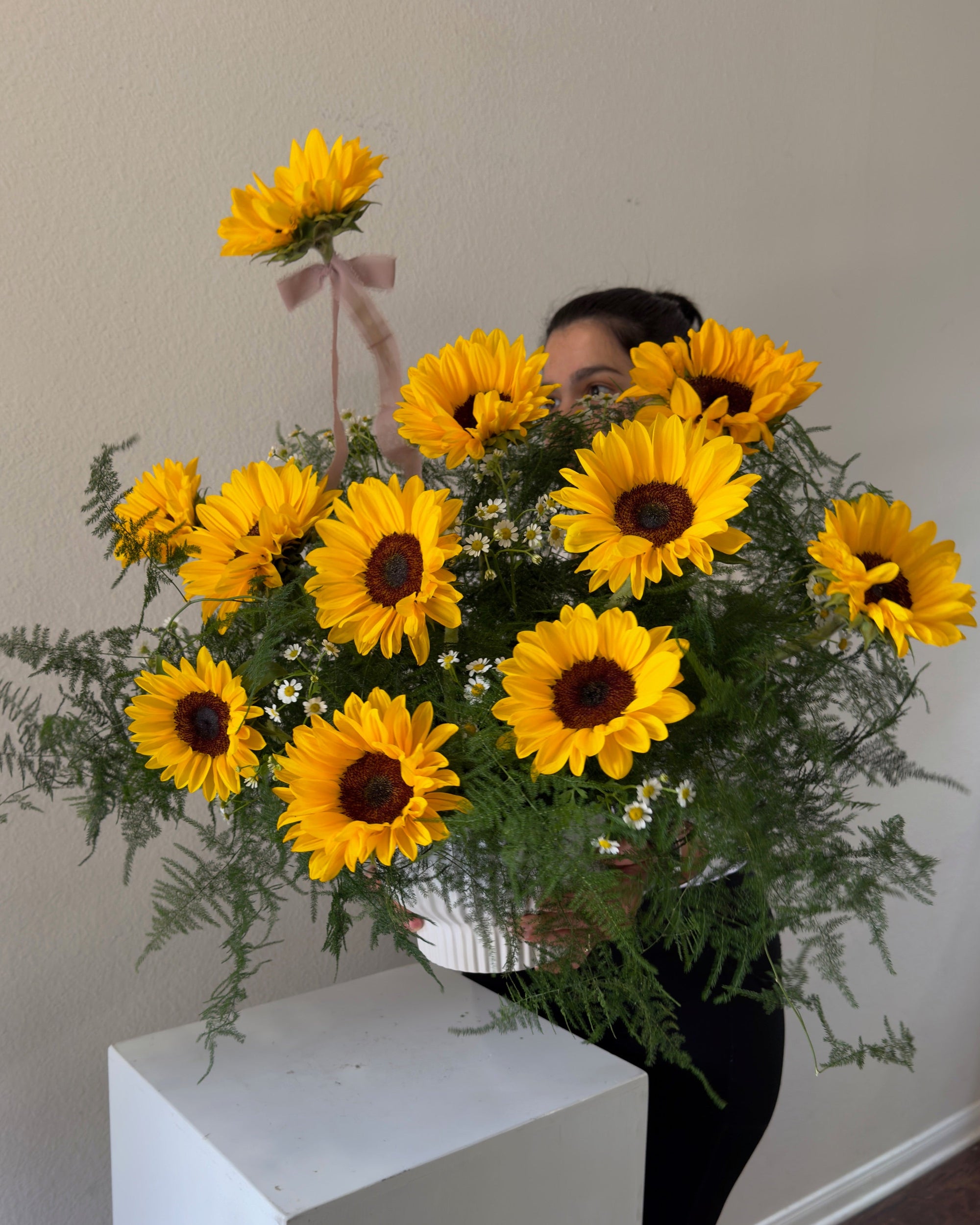 Sunflowers in Frisco Tx